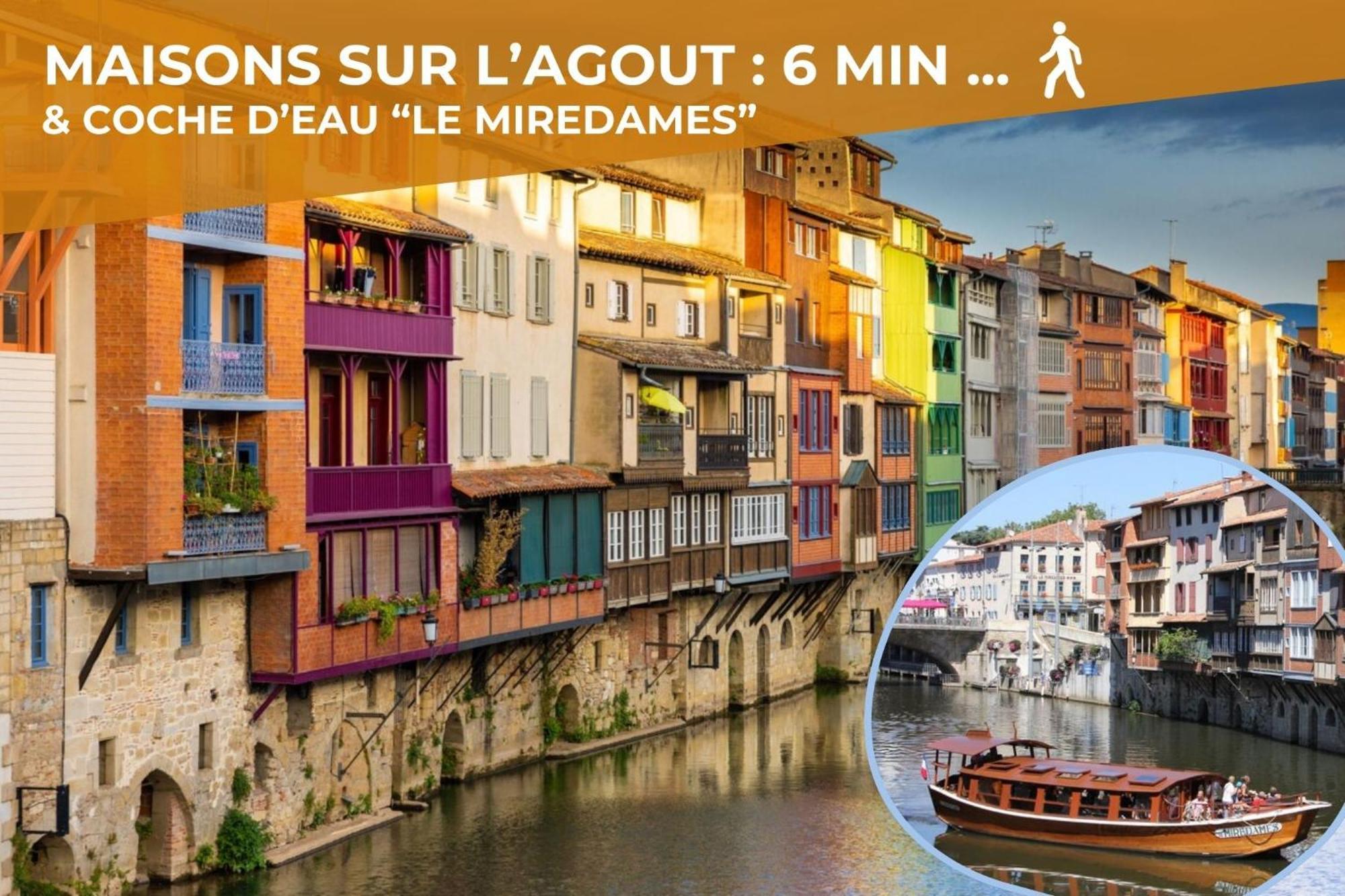 L'Eveche - T3 Spacieux & Traversant En Hypercentre Castres  Exteriör bild